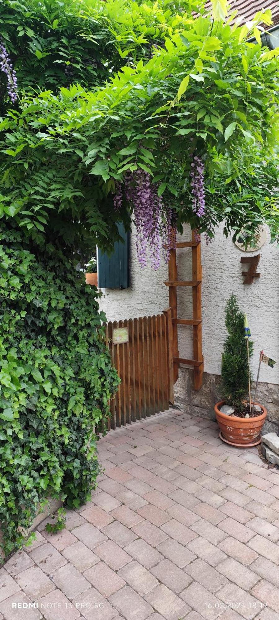 Ferienwohnung Geiernest Ochsenfurt Exteriér fotografie