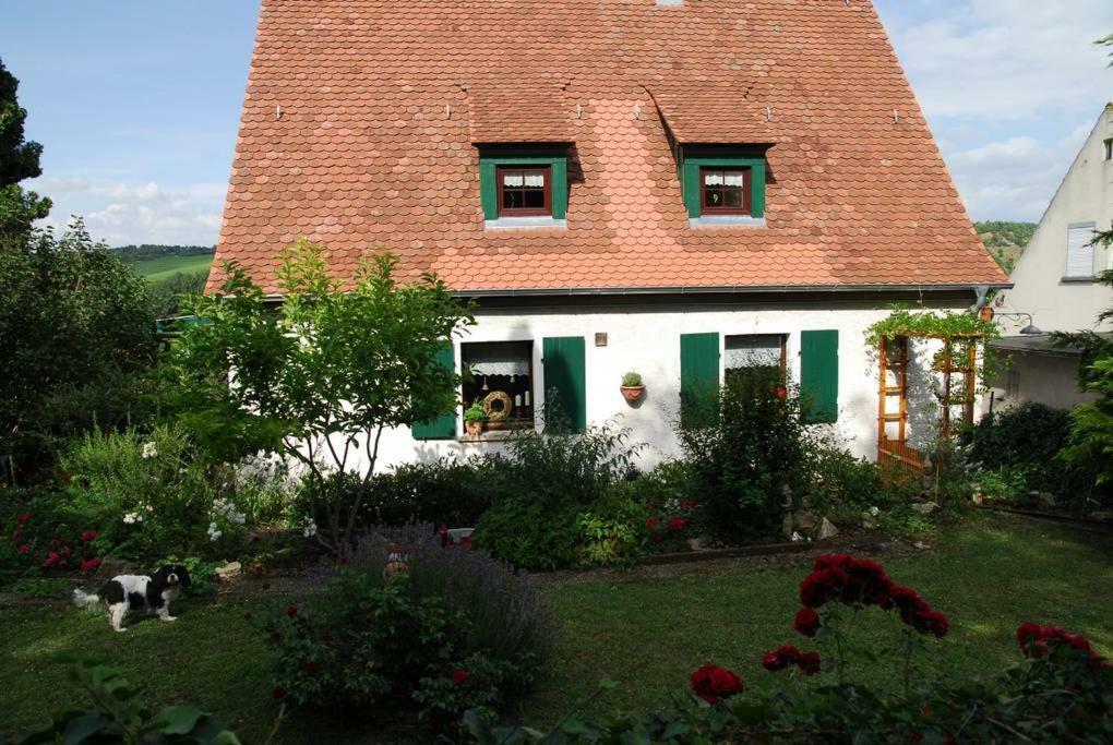 Ferienwohnung Geiernest Ochsenfurt Exteriér fotografie